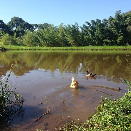 Aguas Vivas Hotel Fazenda Pirenópolis Екстериор снимка