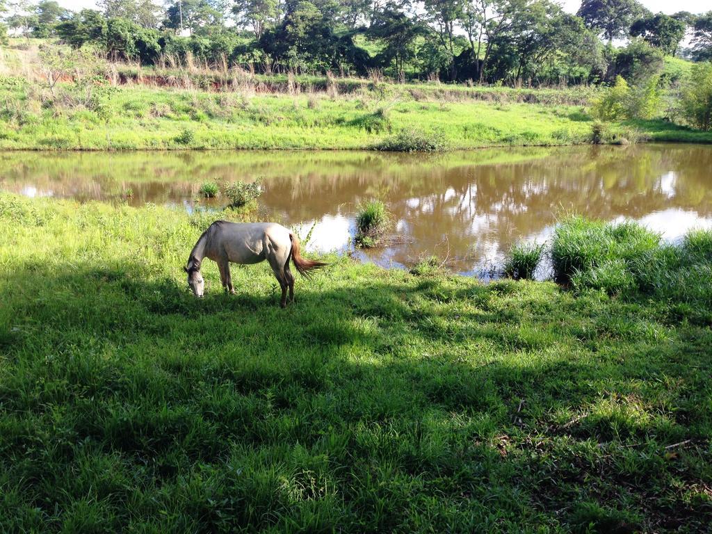 Aguas Vivas Hotel Fazenda Pirenópolis Екстериор снимка