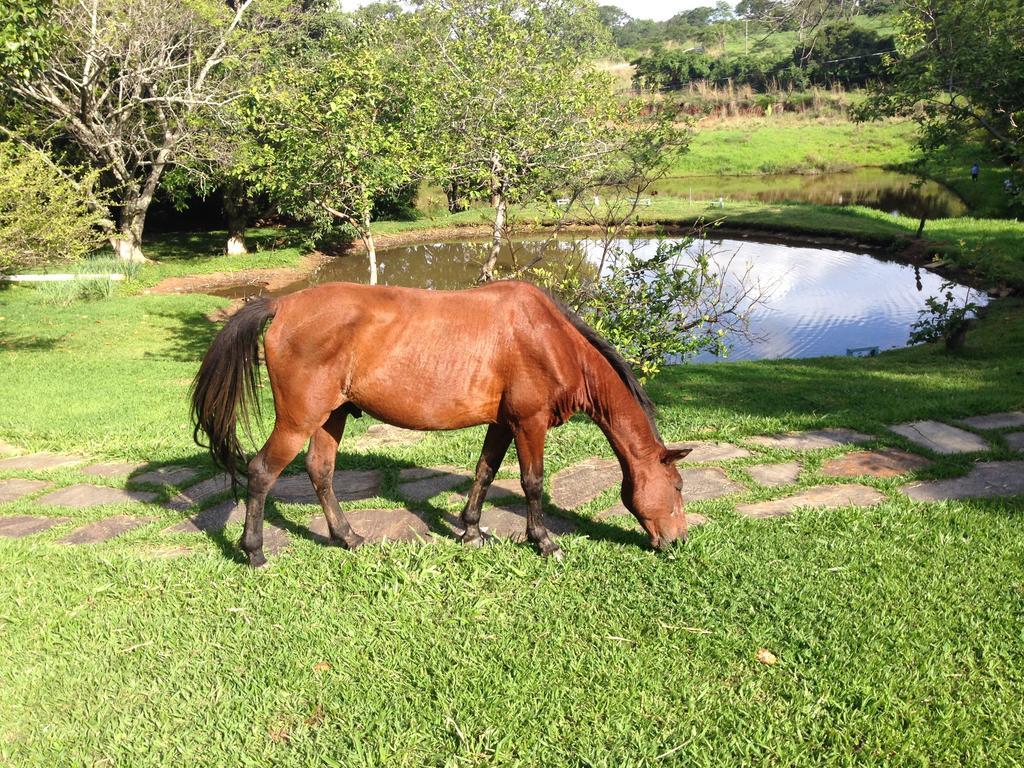 Aguas Vivas Hotel Fazenda Pirenópolis Екстериор снимка