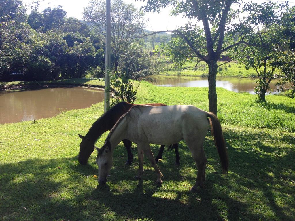 Aguas Vivas Hotel Fazenda Pirenópolis Екстериор снимка
