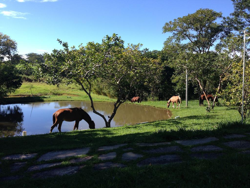 Aguas Vivas Hotel Fazenda Pirenópolis Екстериор снимка